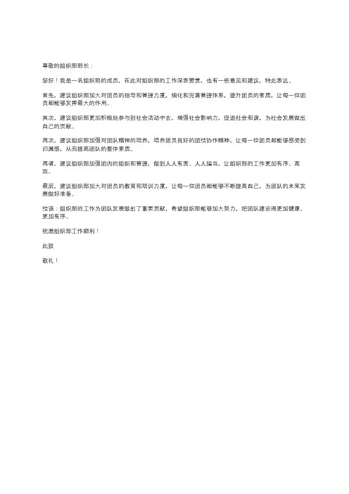 对组织部部长的意见建议