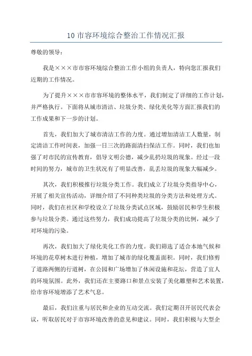 10市容环境综合整治工作情况汇报