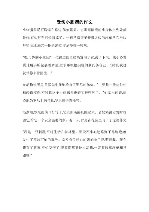 受伤小刺猬的作文