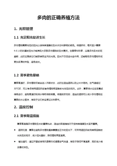 多肉的正确养殖方法