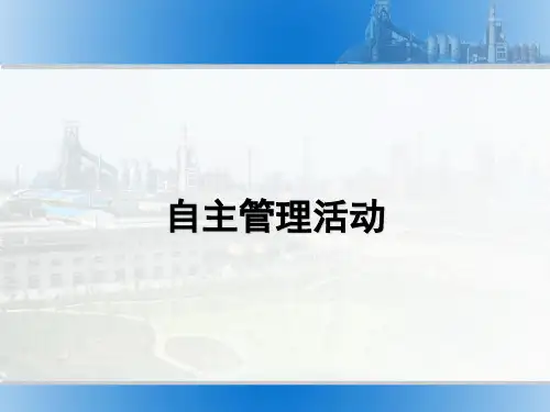 自主管理活动