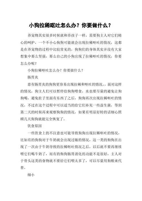 小狗拉稀呕吐怎么办？你要做什么？