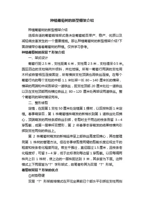 种植葡萄树的新型棚架介绍