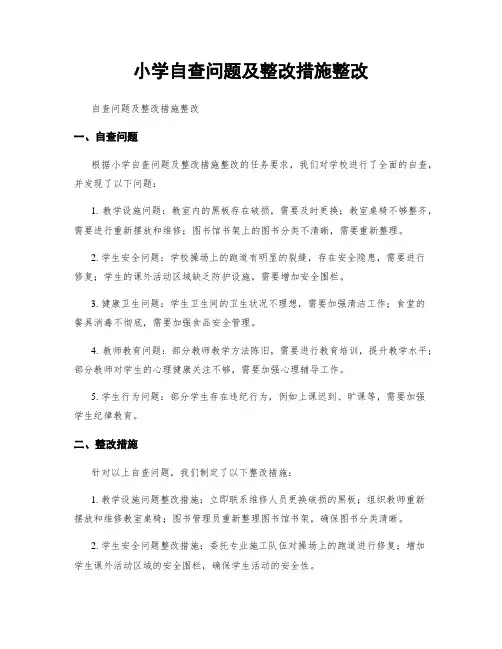小学自查问题及整改措施整改