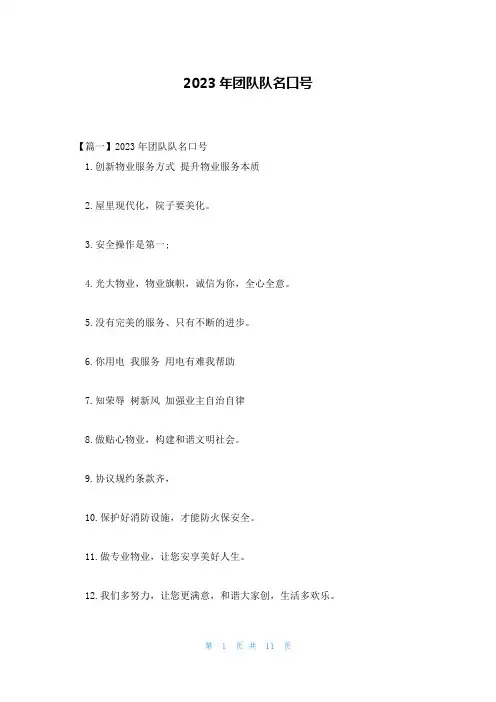 2023年团队队名口号