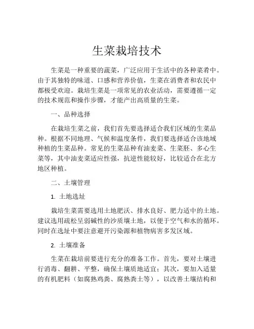 生菜栽培技术