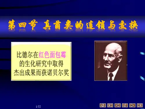 普通遗传学 第三章第四节真菌类的连锁与交换