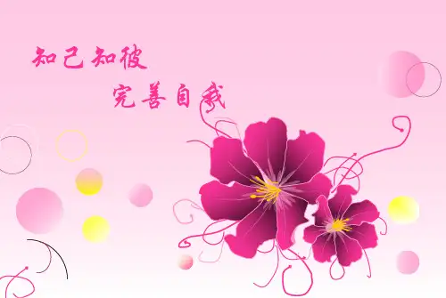 PDP性格测试及结果分析