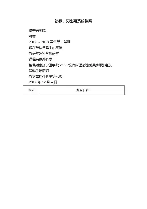 泌尿、男生殖系统教案