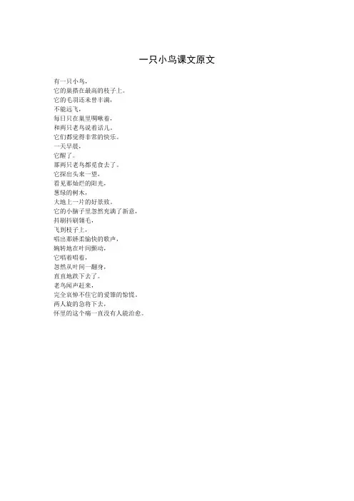 一只小鸟课文原文