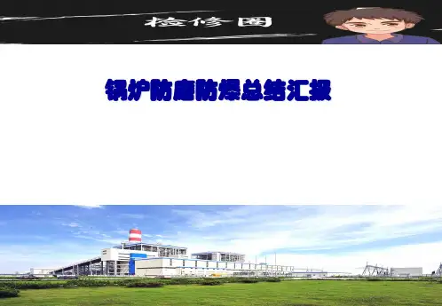 锅炉防磨防爆总结汇报解析