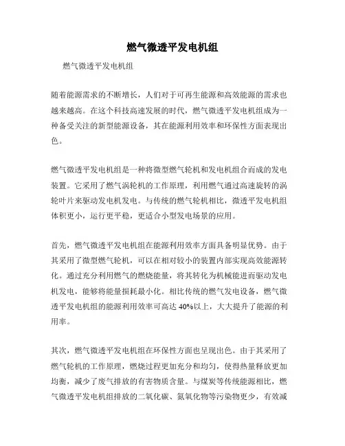 燃气微透平发电机组