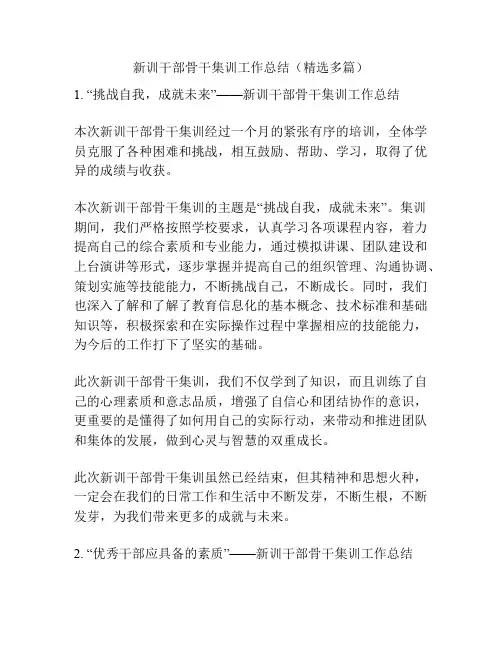 新训干部骨干集训工作总结(精选多篇)