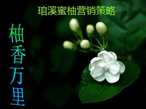 蜜柚营销策略PPT课件