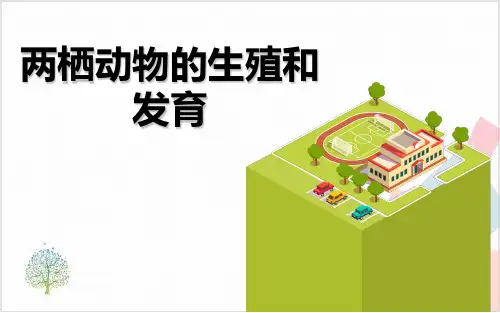 《两栖动物的生殖和发育》_PPT课件
