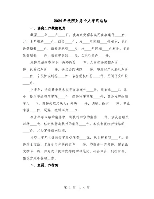 2024年法院财务个人年终总结(二篇)