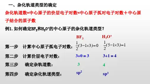 杂化轨道的判断