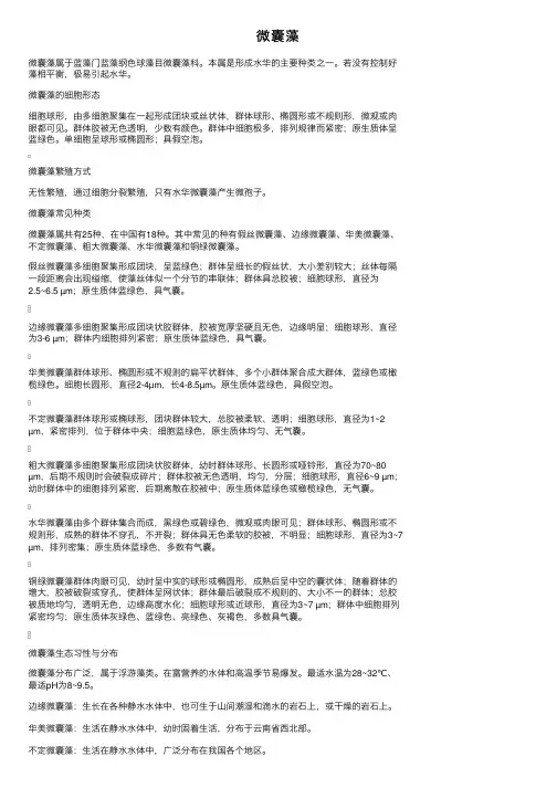 微囊藻——精选推荐