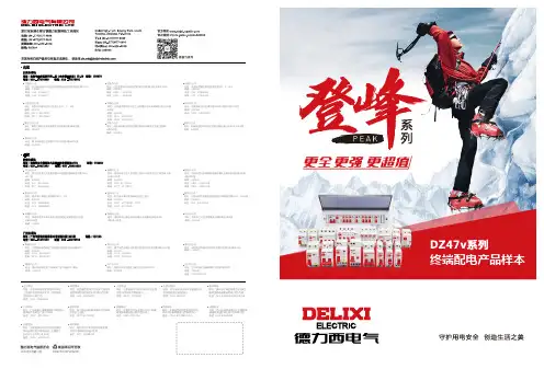 德力西电气 DENCPDZ47VYB2001 2021年3月第二版说明书