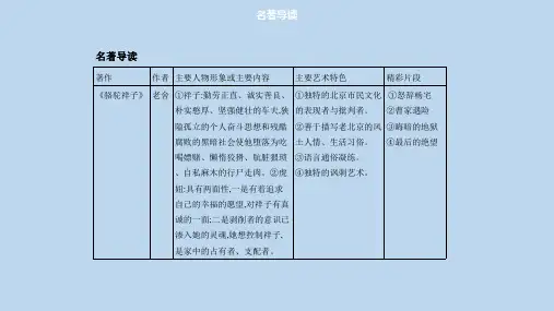 七年级语文下册第六单元名著导读习题课件新人教版