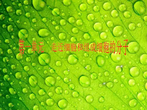 步步高高三生物一轮复习第一单元第1讲走近细胞名师优质课件新人教版必修2