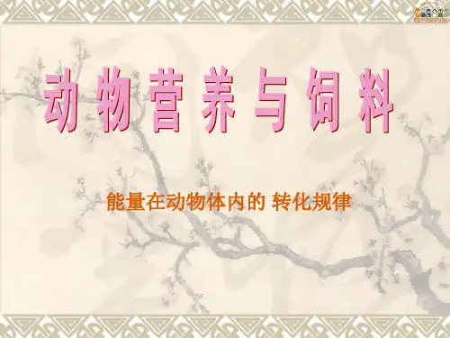 动物营养与饲料——能量在动物体内的转化规律