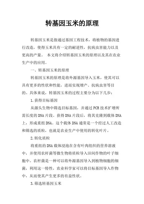 转基因玉米的原理