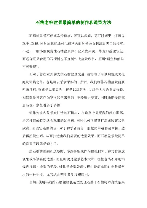 石榴老桩盆景最简单的制作和造型方法