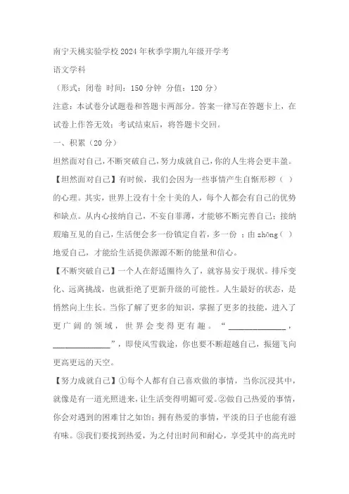 广西壮族自治区南宁市天桃实验学校2024-2025学年九年级上学期开学语文试题(含答案)