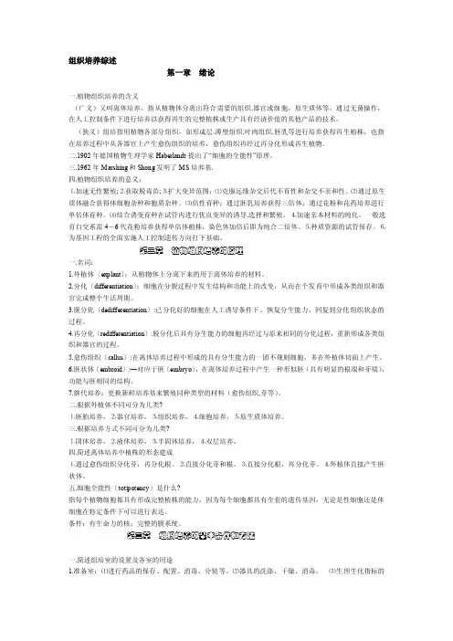 组织培养综述