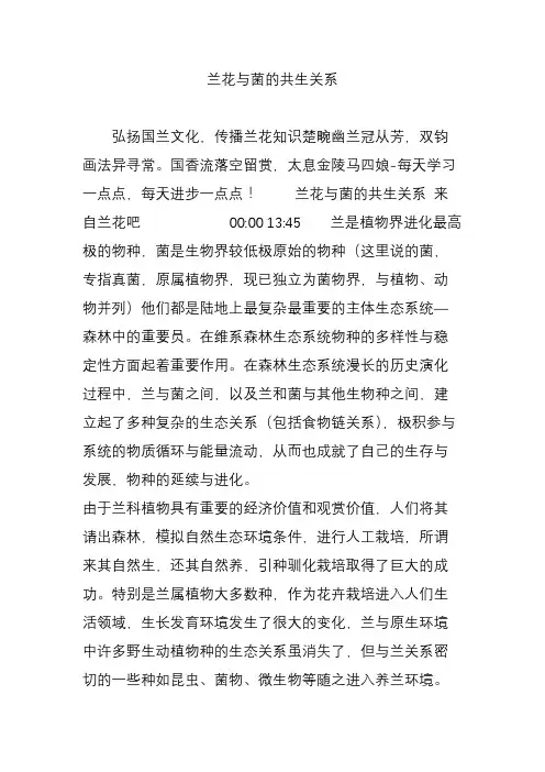 兰花与菌的共生关系