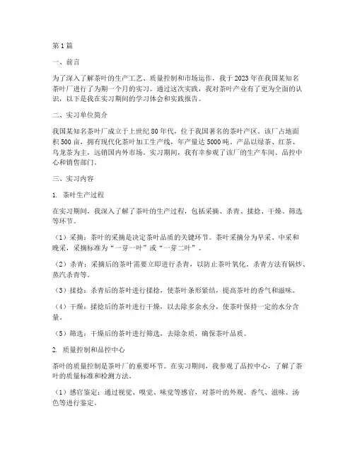 在茶叶厂的实践报告(2篇)