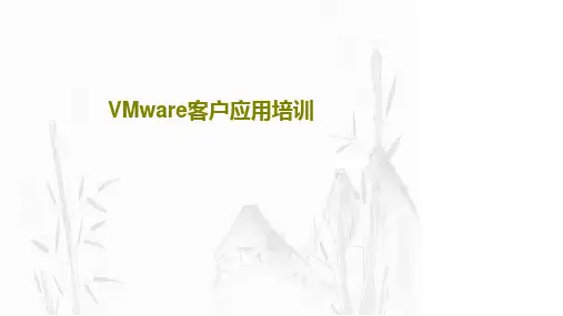 VMware客户应用培训79页PPT