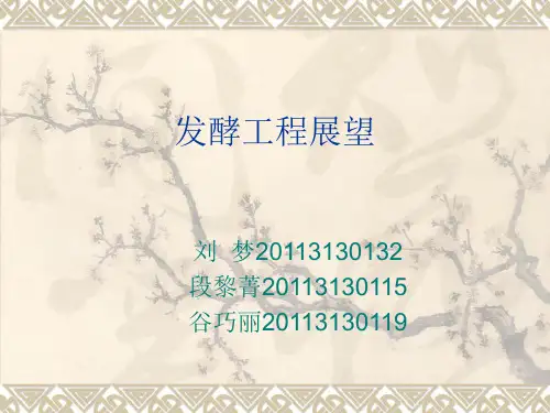 发酵工程展望