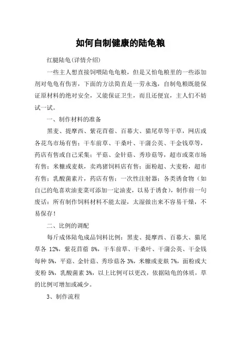 如何自制健康的陆龟粮