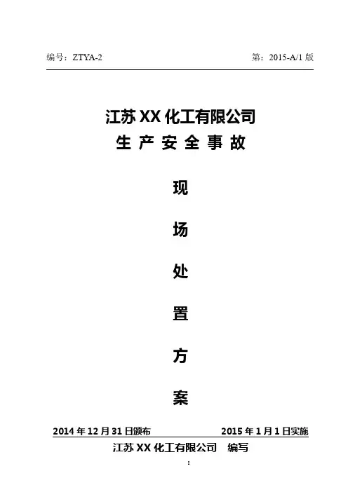 江苏省XX化工企业现场处置方案