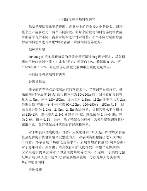 不同阶段母猪喂料有讲究