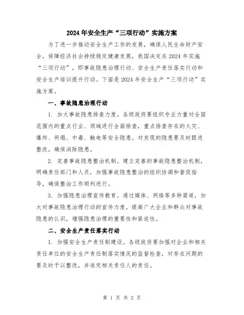 2024年安全生产“三项行动”实施方案