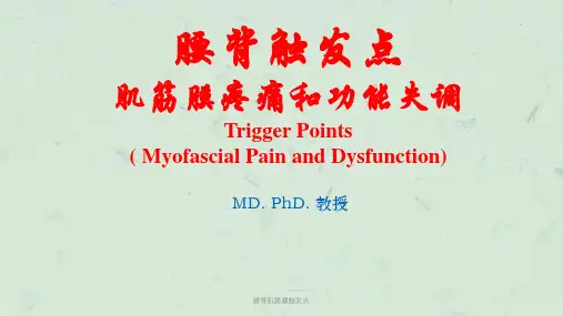腰背肌筋膜触发点课件