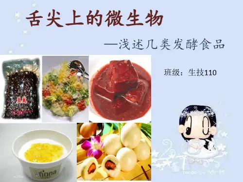 舌尖上的微生物——发酵食品