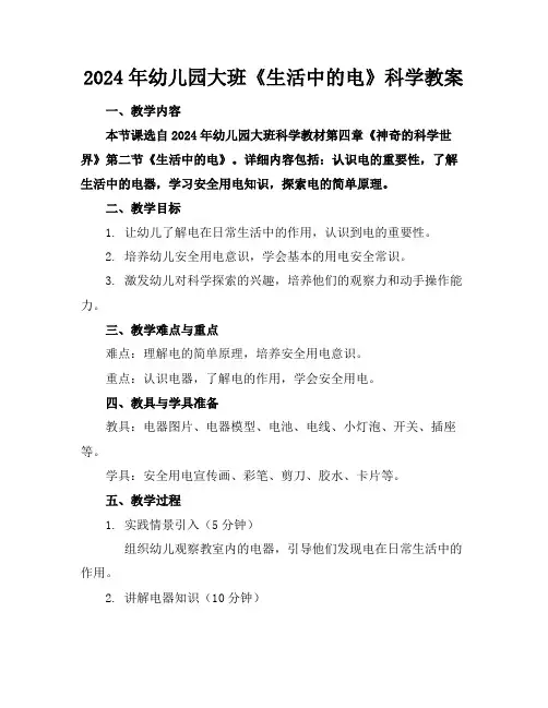 2024年幼儿园大班《生活中的电》科学教案