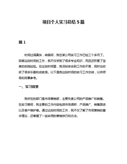 项目个人实习总结5篇