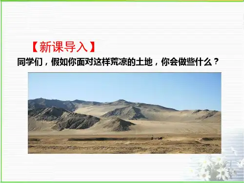《植树的牧羊人》ppt课件