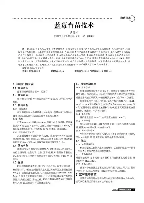 蓝莓育苗技术