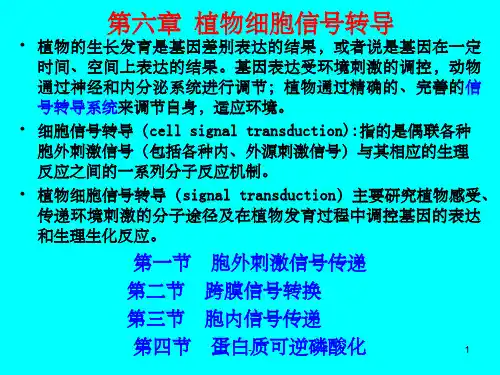 植物生理学：第六章 植物细胞信号转导 ppt