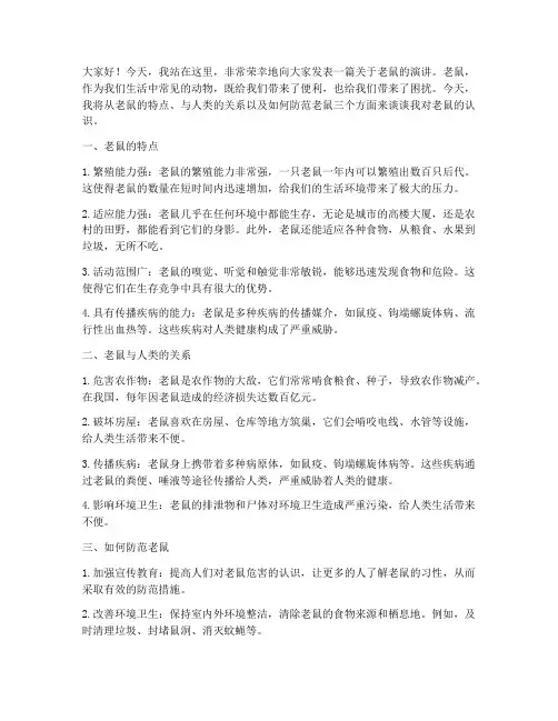 关于老鼠演讲稿三分钟