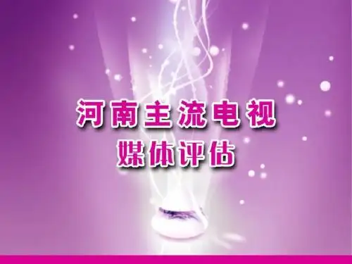 2013年河南省会主流电视媒体