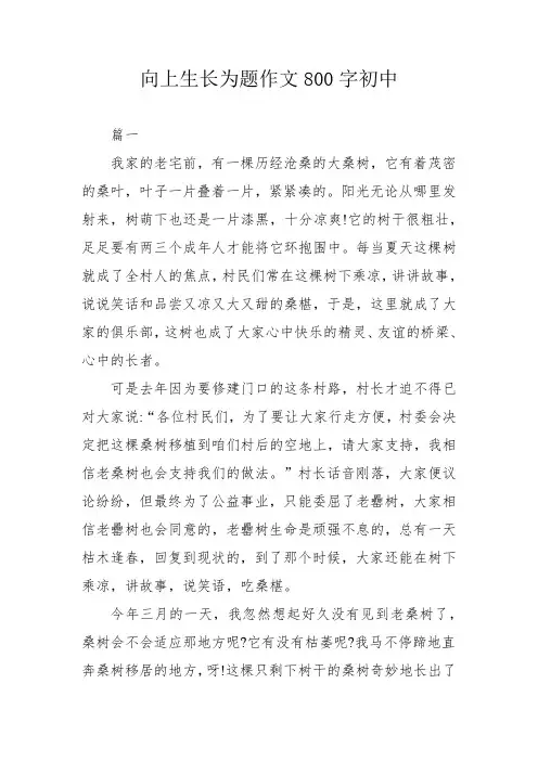 向上生长为题作文800字初中