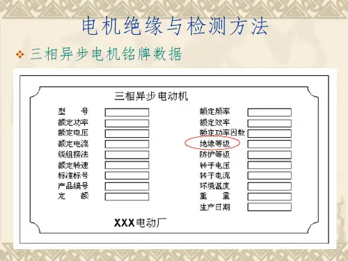电机绝缘及测量PPT课件