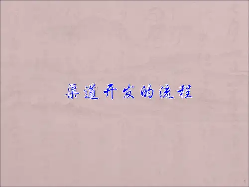 渠道开发的流程ppt课件